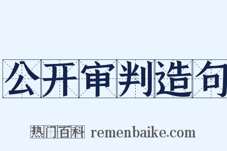 公开审判造句是什么意思的图片
